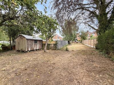 Picture 23